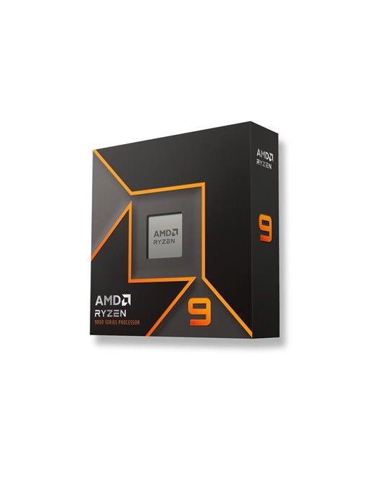 AMD Ryzen 9 9900X, box