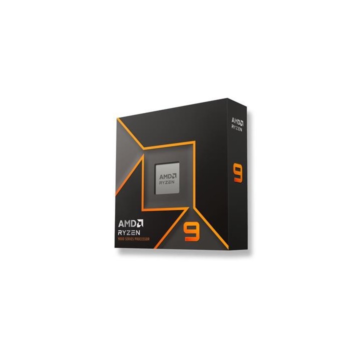 AMD Ryzen 9 9900X, box