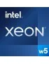 BX807132465X Intel Cpu Xeon w5-2465X, box