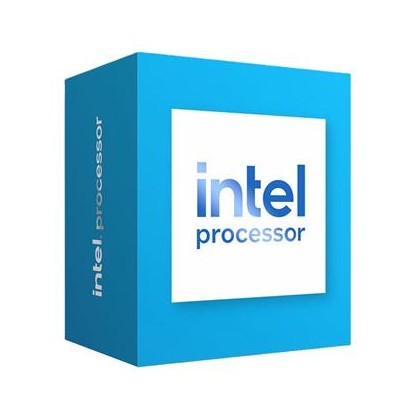 INTEL Processor 300 box