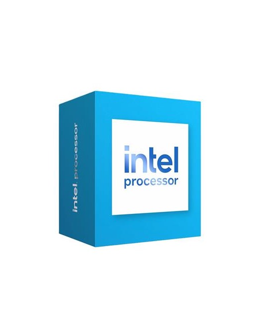 INTEL Processor 300 box