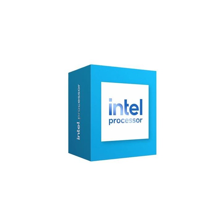 INTEL Processor 300 box