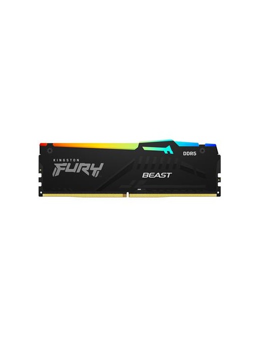 FURY DDR5 8GB 4800 DIMM RGB