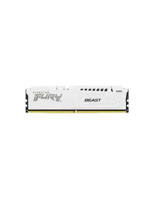 FURY 32GB 5200MT DDR5 DIMM E