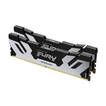 FURYRenS DDR5 2x48 6000 DIMM R