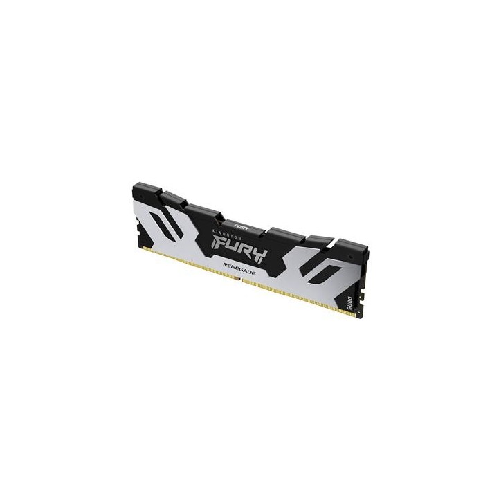FURY RenS DDR5 24 7200 DIMM