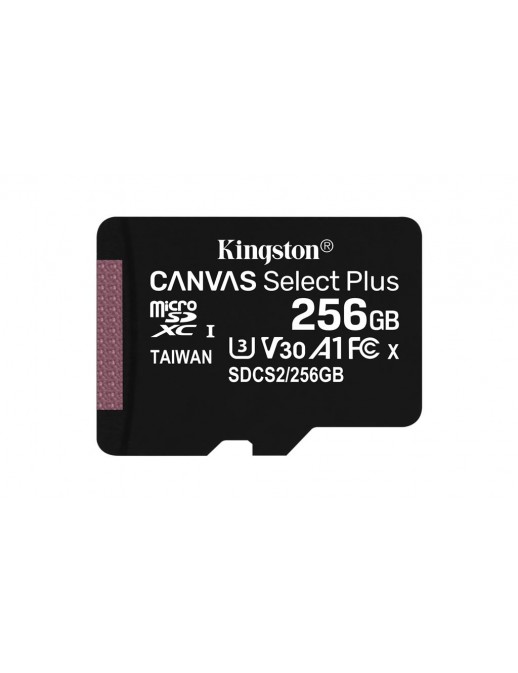 KT 256GB mSDXC 100R A1 NO ADP