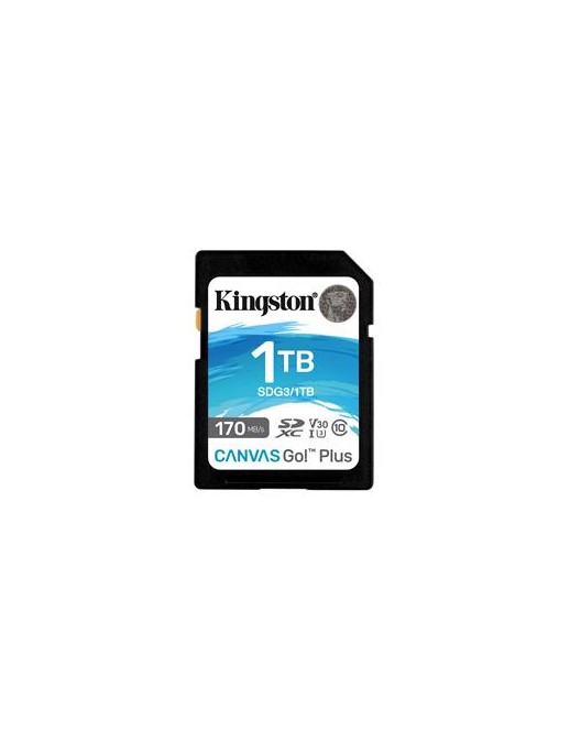 SDG3/1TB KT 1TB SDXC UHS-I U3 V30