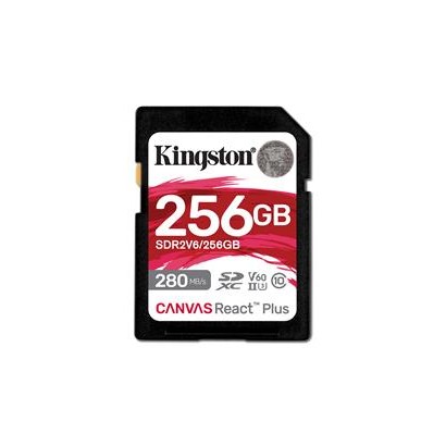 KT 256GB SDXC CanvasReact+