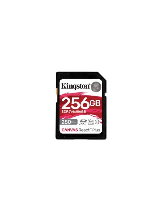 KT 256GB SDXC CanvasReact+