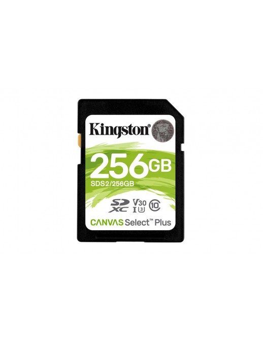 KT 256GB SDXC 100R C10 UHSI U3