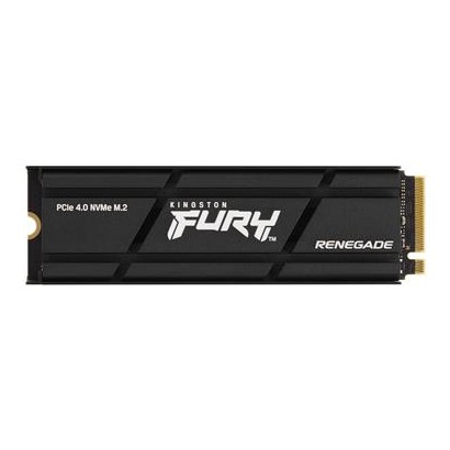 KT SSD2TB RENEGADE NVMe H