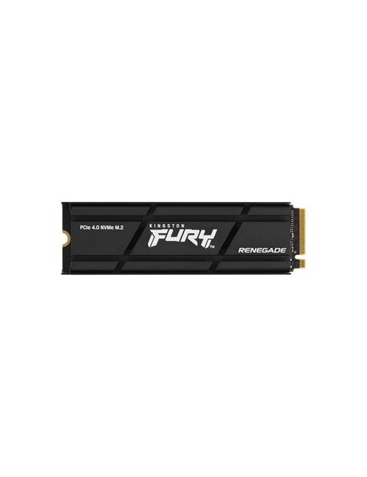 KT SSD 1T REN.NVMe M2