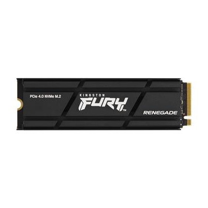 SFYRSK/500G KT SSD 500GB REN.NVMe M2