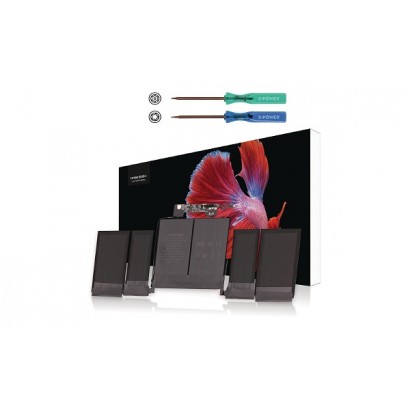 2P-2217-2548 Batteria...