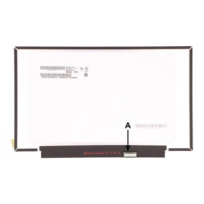 LENOVO | 10000informatica