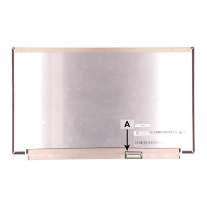 LENOVO | 10000informatica