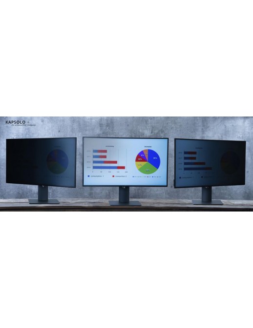 KAP10760 Kapsolo 4-Way Plug In Privacy 55,88Cm (22") Wide 16:10 22" 2H 817010