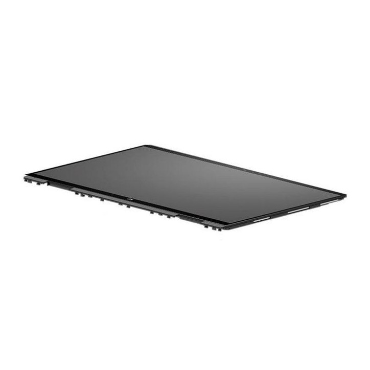 M45013-001 HP Display panel