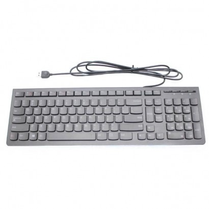 25209128-RFB 25209128-RFB Lenovo Wired Tastiera Keyboard USB black LENOVO DSE