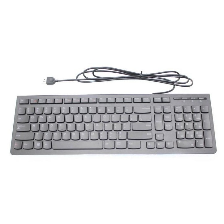 25209128-RFB Lenovo Wired Tastiera Keyboard USB black