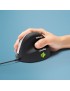 RGOHE RGOHE R-Go Tools R-Go HE Mouse, Ergonomic mouse, Medium (Hand Size 165-185mm), Right Handed, wired