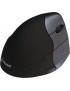 500788 500788 Evoluent Evoluent VerticalMouse 4 Right Wireless, 2.4GHz, Optical, Mini Receiver VM4RW