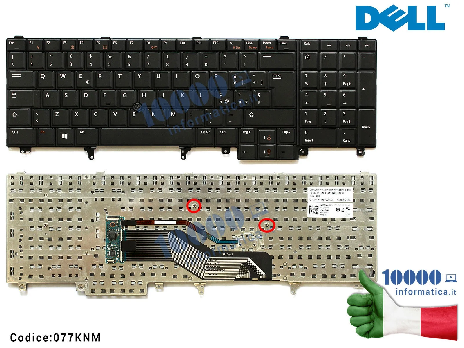 077KNM Tastiera Italiana DELL Latitude E6520 E6530 E6540 Precision M4600 M4800 M6600 (CON PUNTATORE MOUSE) PK130FH2E14 077KNM Tastiera Italiana DELL Latitude E6520 E6530 E6540 Precision M4600 M4800 M6600 (CON PUNTATORE MOUSE) PK130FH2E14