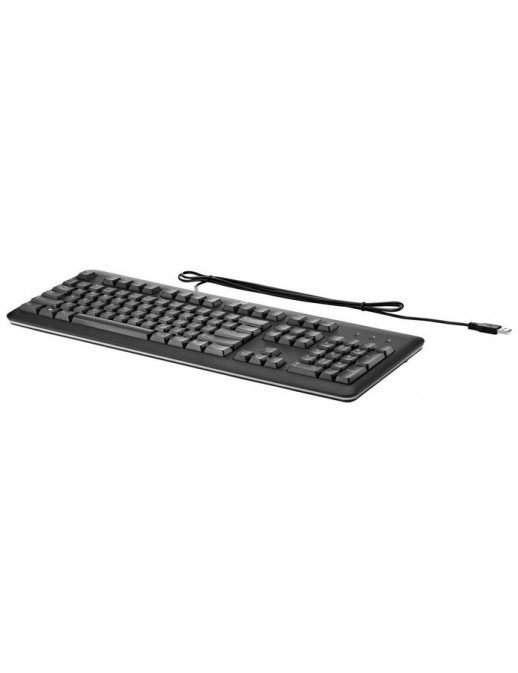 QY776AAB13 HP USB Keyboard for PC US INT