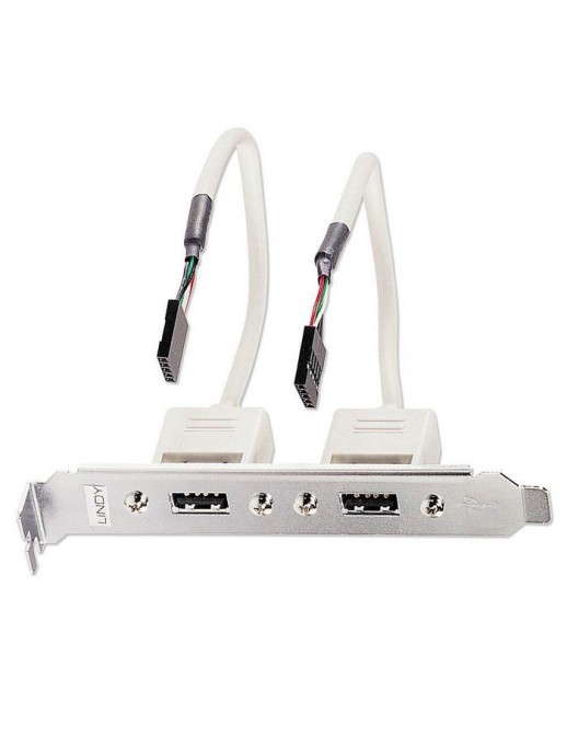 33147 33147 Lindy PC Back Plate, USB 2.0, 2 Port