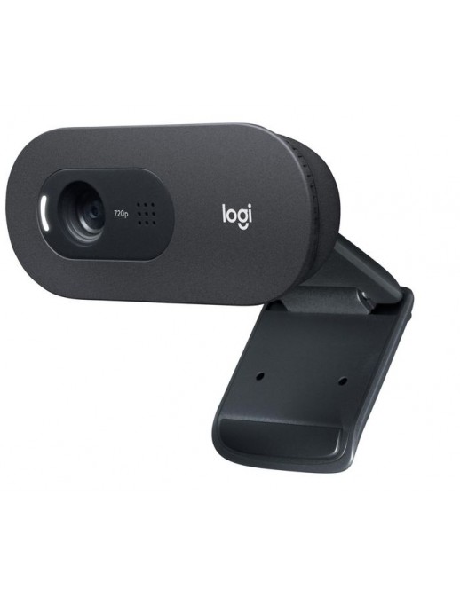 960-001364 960-001364 Logitech C505 HD WEBCAM 824905
