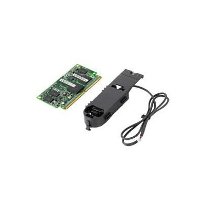 RP001229334 RP001229334 Hewlett Packard Enterprise 1GB P-series Smart Array Flash Backed Write Cache, 1.08 kg 631679-B21