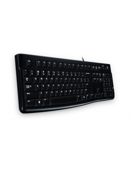 920-002516 920-002516 Logitech Keyboard K120 for Business 910-001950, 910-003443, 790160 Black