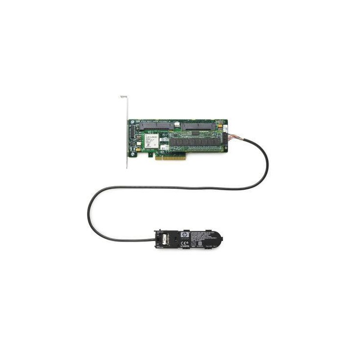RP001225077 Hewlett Packard Enterprise PCI Express x8, 256 MB ECC DDR2, 8xSAS 405132-B21