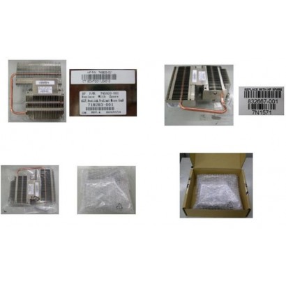 832667-001 832667-001 Hewlett Packard Enterprise Heatsink 65W use with ProLiant Microserver HEWLETT-PACKARD-ENTERPRISE DSE