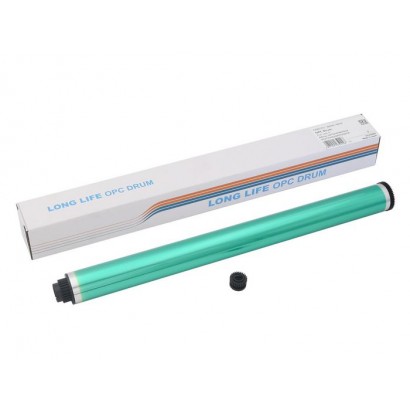 DSE050|10000informatica.it