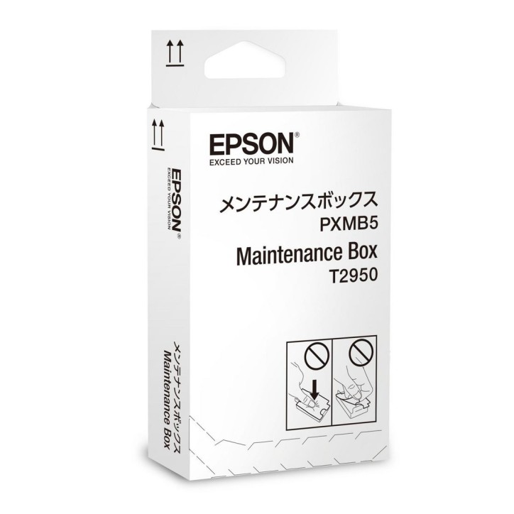 C13T295000 Epson WorkForce WF-100W Maintenance Box