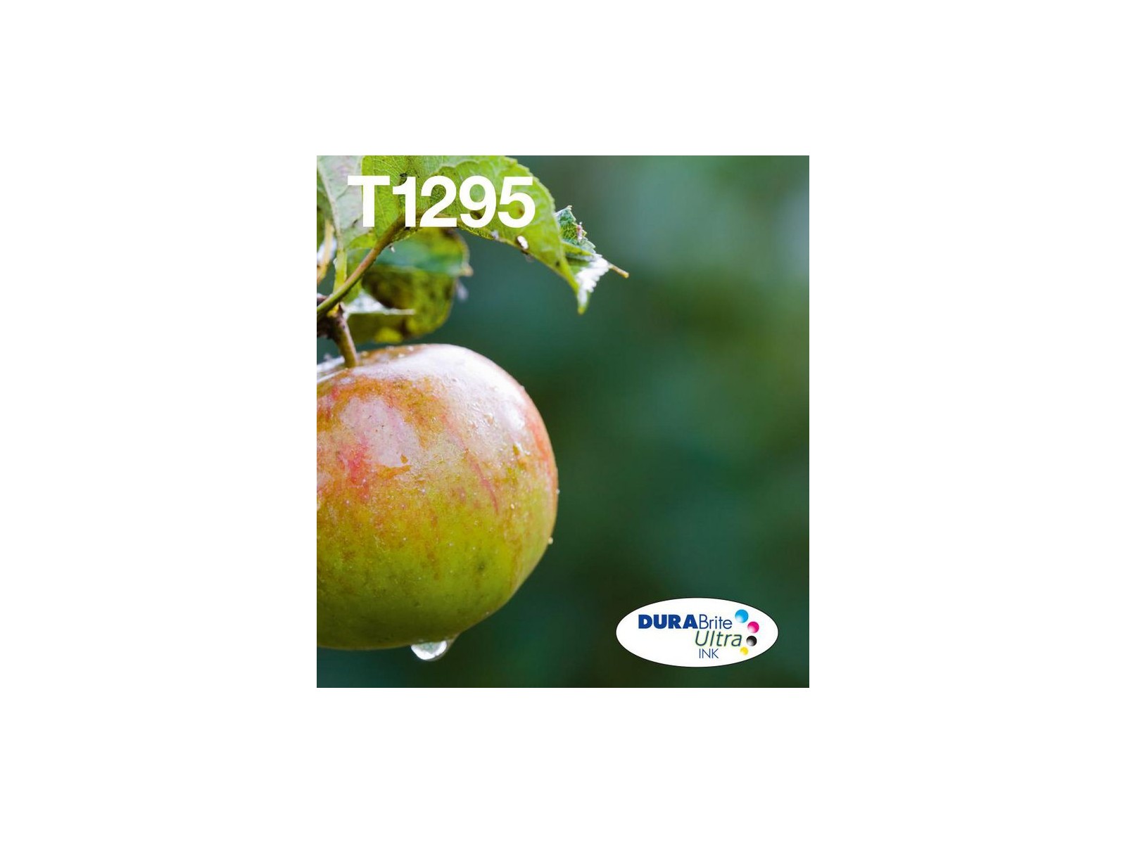 C13T12954511 C13T12954511 Epson Apple Multipack 4-Colours T129 Easymail C13T12954511 C13T12954511 Epson Apple Multipack 4-Colours T129 Easymail