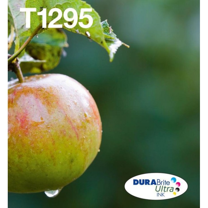 C13T12954511 Epson Apple Multipack 4-Colours T129 Easymail