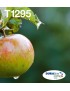 C13T12954511 C13T12954511 Epson Apple Multipack 4-Colours T129 Easymail