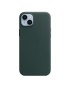 MPPA3ZM/A MPPA3ZM/A Apple Mobile Phone Case 17 Cm (6.7") Cover Green
