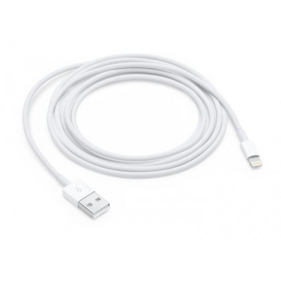 MD819ZM/A Apple Lightning - USB, 2 m 2870384, 841613