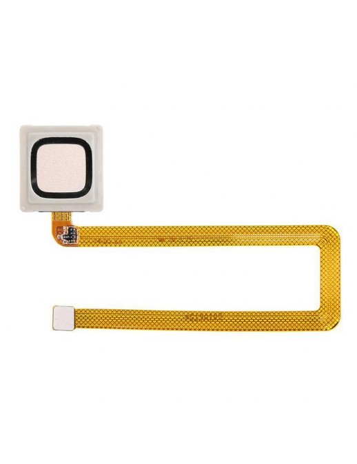 CoreParts | 10000informatica