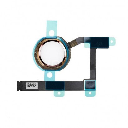 DSE|10000informatica.it