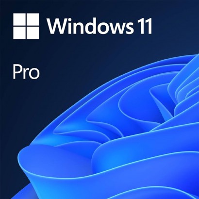 Installazione Sistema Operativo Windows 11 Pro 64 Bit (no licenza)