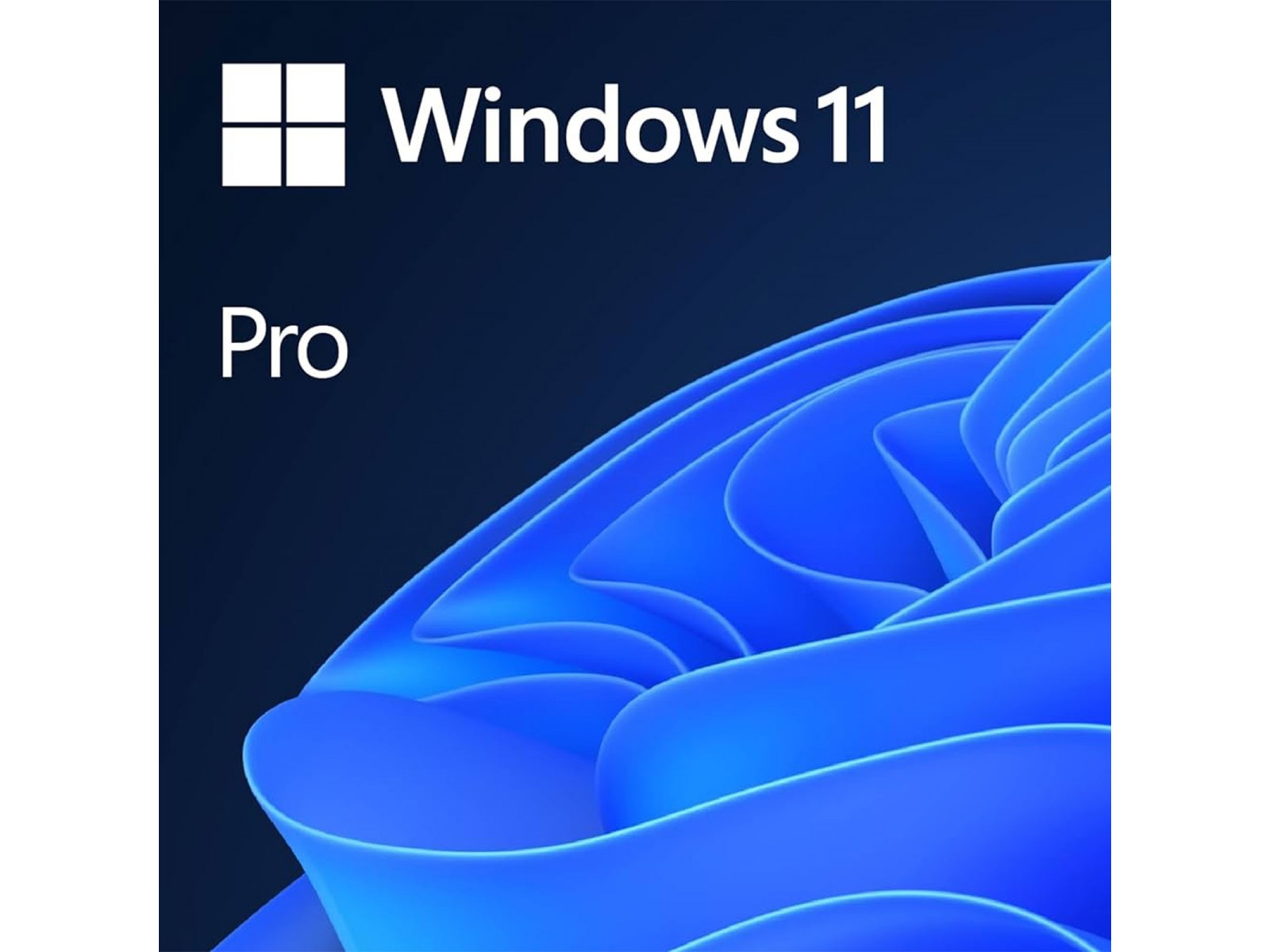 W11 Installazione Sistema Operativo Windows 11 Pro 64 Bit (no licenza) W11 Installazione Sistema Operativo Windows 11 Pro 64 Bit (no licenza)
