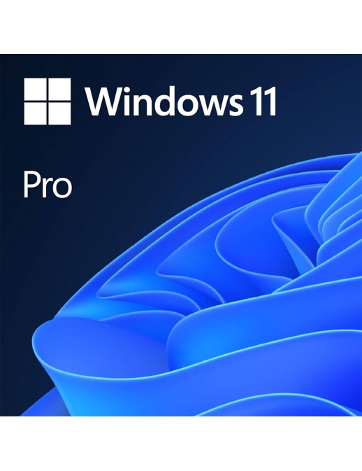 W11 Installazione Sistema Operativo Windows 11 Pro 64 Bit (no licenza)