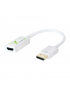 DP-HDMIFP Techly DP-HDMIFP Adattatore Video da Display Port Maschio a HDMI Femmina