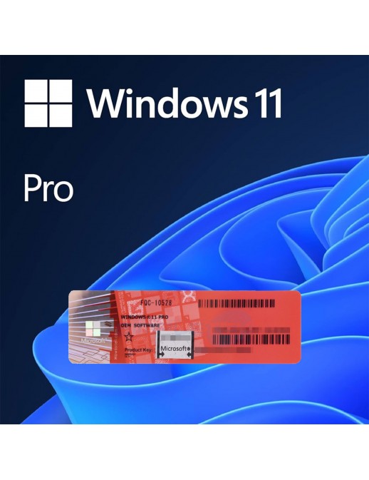 Installazione Windows 11 Pro + Chiave Licenza Attivazione COA