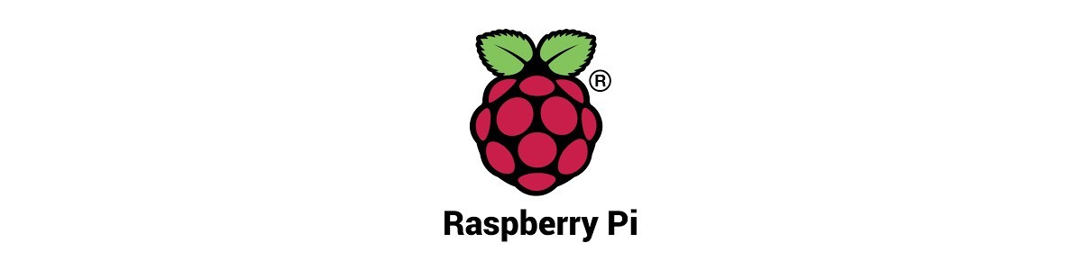 RASPBERRY-PI